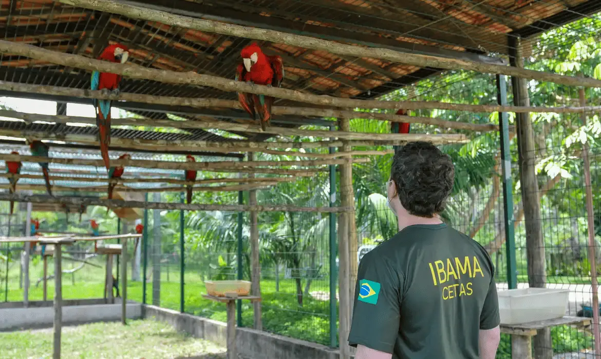 Imagem da notícia: Que horas sai o gabarito do concurso do Ibama nesta terça (8)? Veja como consultar