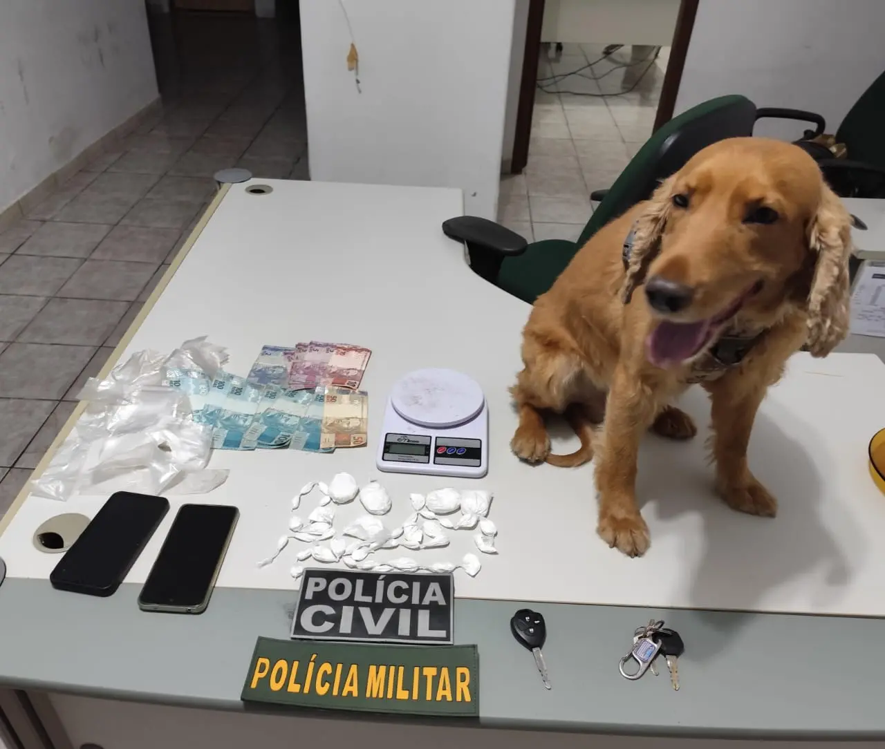 Imagem da notícia: Cão farejador encontra cocaína e Polícia Civil apreende suspeito de tráfico de drogas em Penaforte
