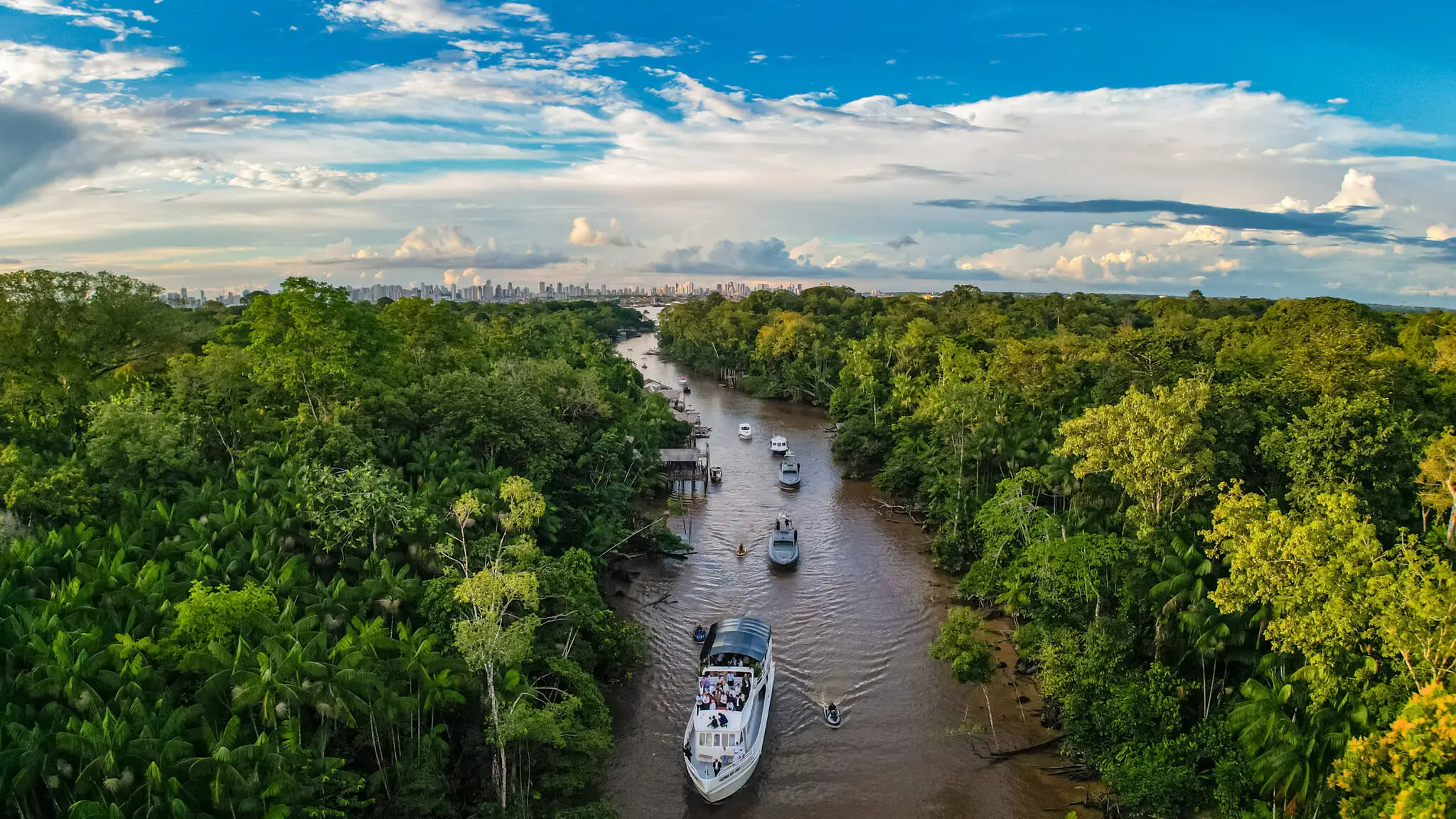 Imagem da notícia: Crise climática pode provocar nova extinção em massa, diz pesquisador