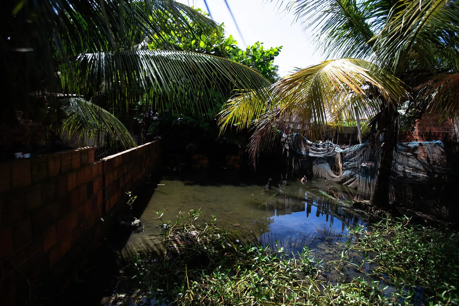 Diversos quintais foram alagados pelo transbordamento do Rio Ceará