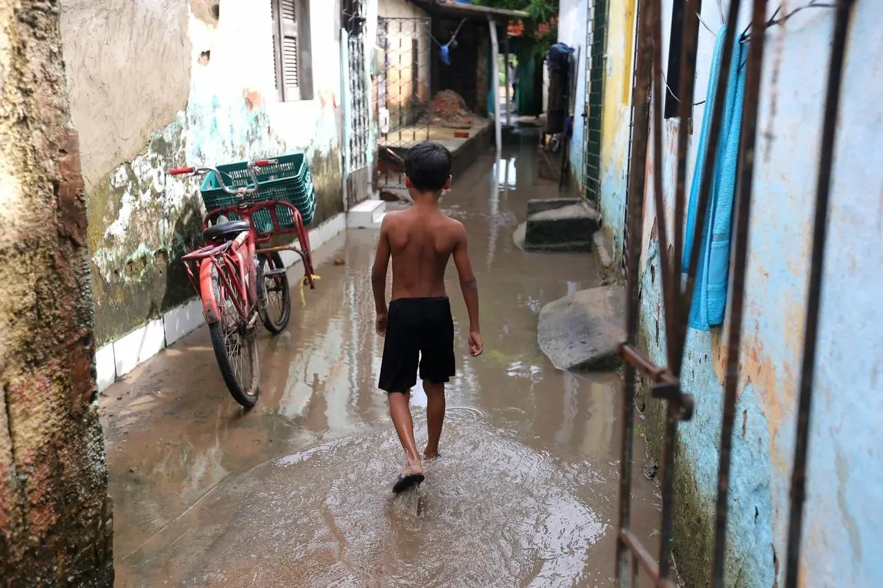 Imagem da notícia: Casos de leptospirose podem ser agravados e levarem a internações; veja sintomas e como prevenir
