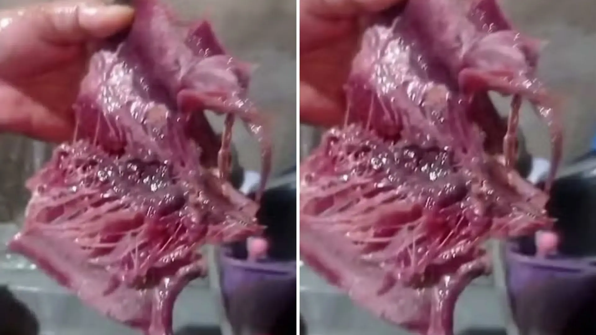 Imagem da notícia Moradores têm intoxicação alimentar após consumir peixe distribuído por prefeitura na Paraíba