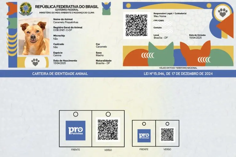 RG Animal e QR Code são emitidos na hora, sem custo
