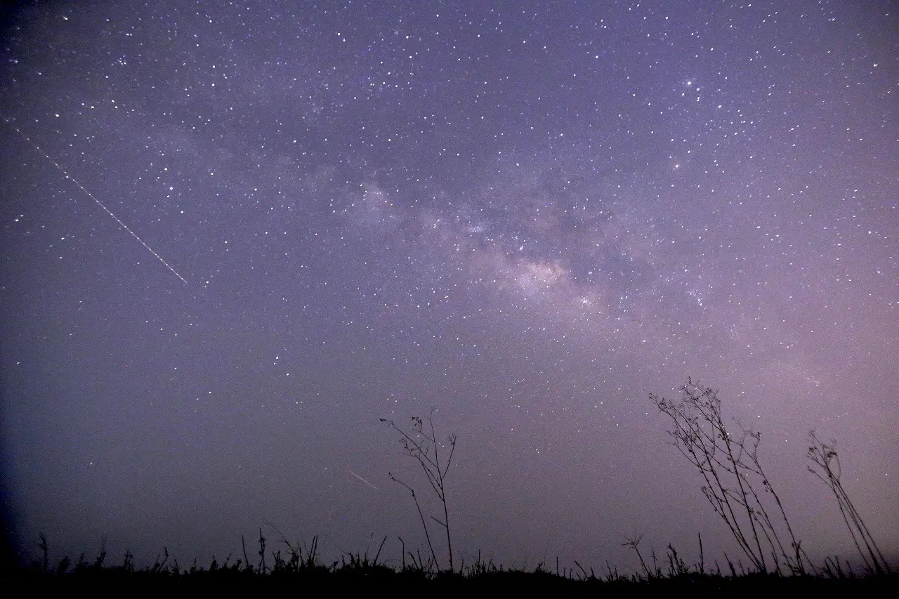 Imagem da notícia Chuva de meteoros Líridas terá auge na madrugada desta terça-feira (22); veja como assistir