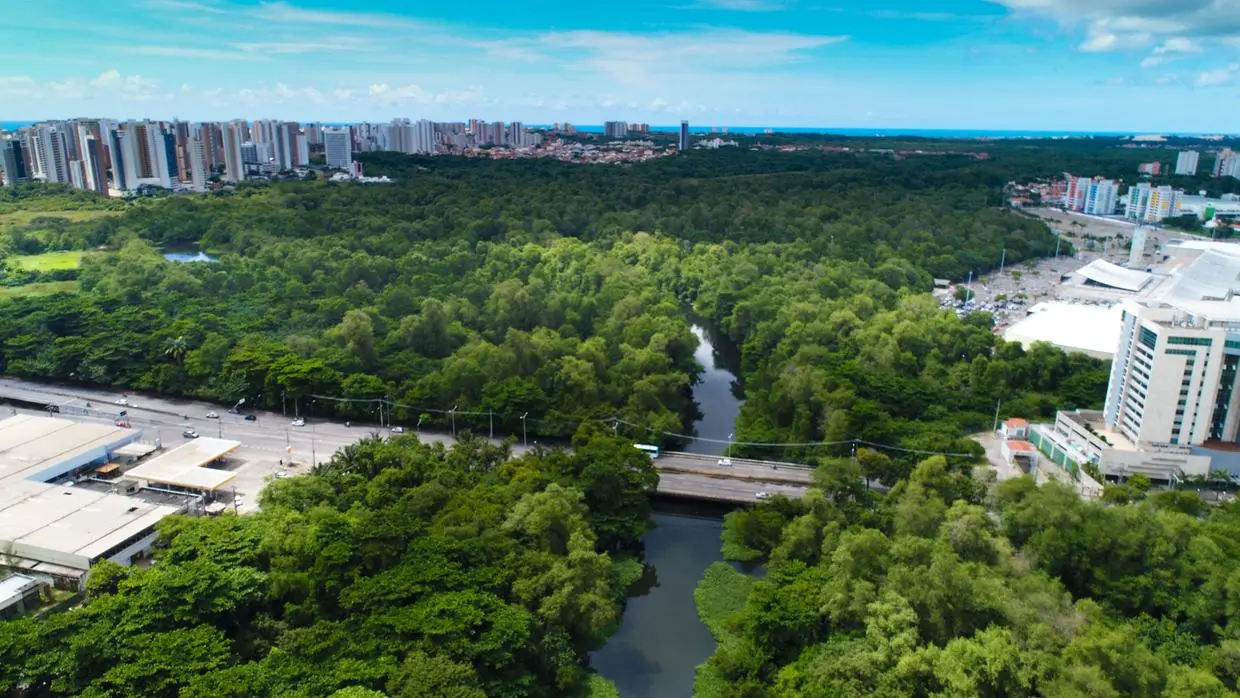 Imagem da notícia: 7 em cada 10 espécies de peixes do Rio Cocó estão anêmicas, aponta estudo da UFC