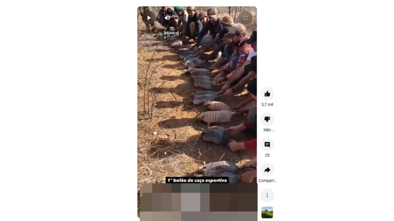 Caçadores de todo o País compartilham torneios nas redes sociais