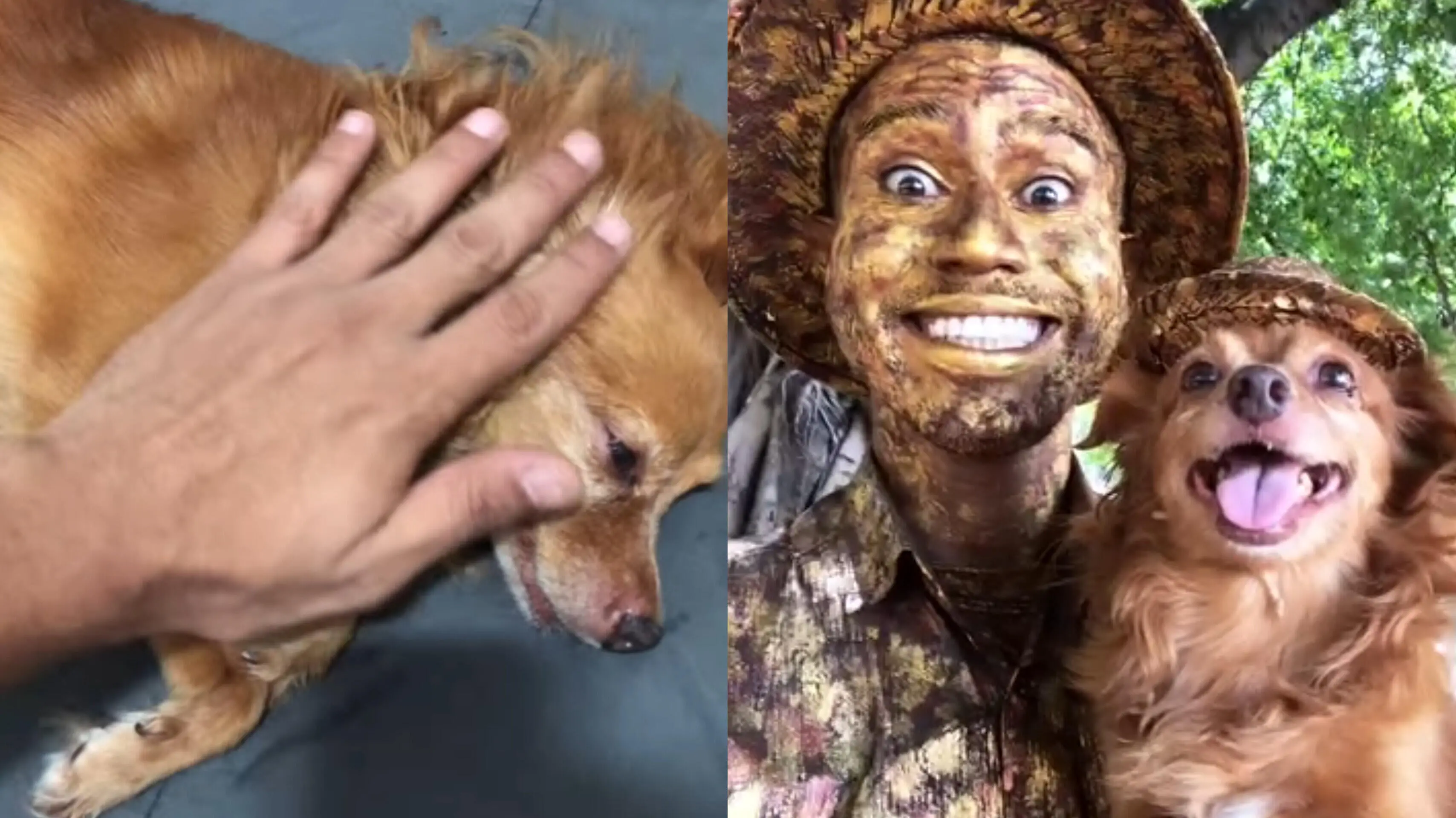 Imagem da notícia Morre cachorrinha Jaspe, conhecida em Fortaleza por trabalho com artista de rua 