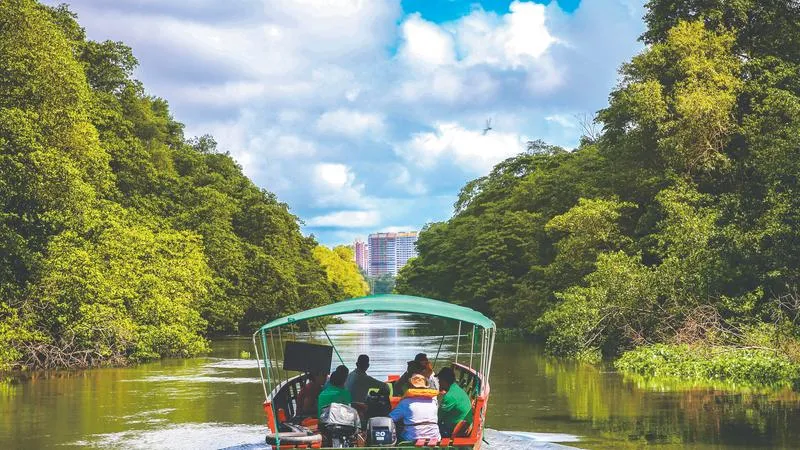 Passeios no rio Cocó podem ser feitos de barco ou bicicleta aquática