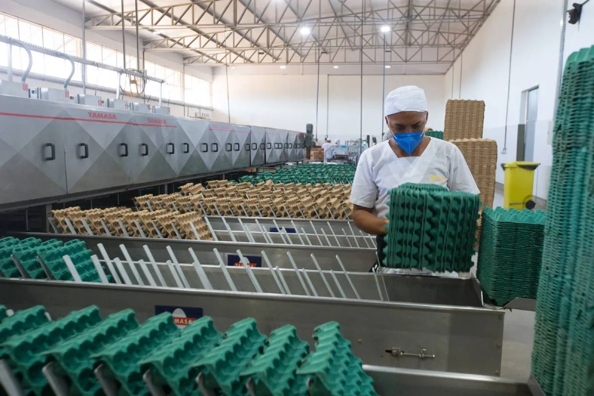 Tendência é de crescimento do setor