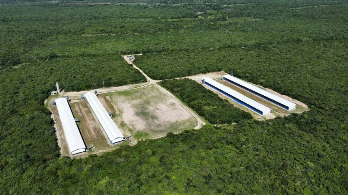 A granja fica em área isolada de Beberibe para garantir condições sanitárias adequadas