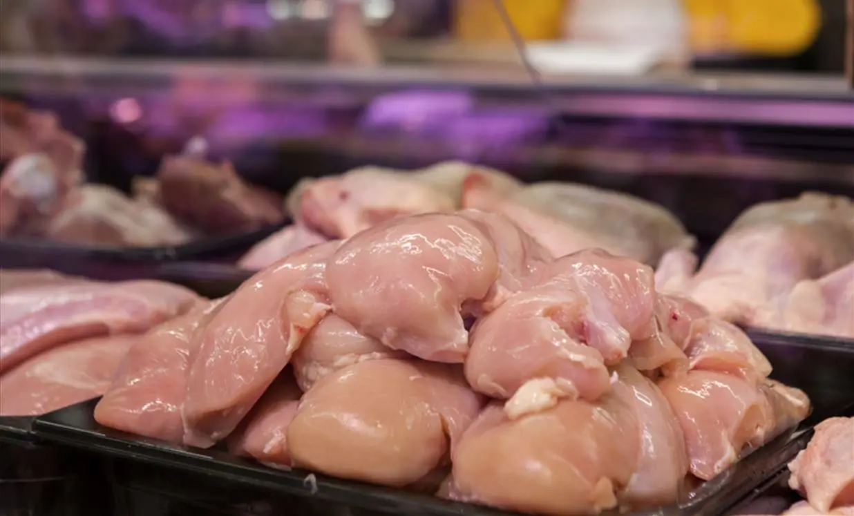 Imagem da notícia: Exportações de frango do RS estão suspensas para todo o mundo após registro de gripe aviária