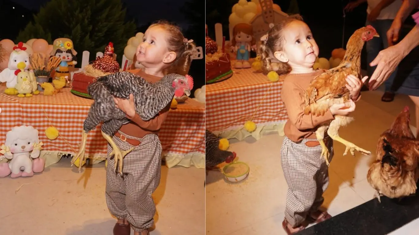 Imagem da notícia: Festa temática de 'galinhas' viraliza com a presença das aves vivas