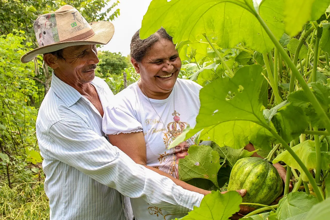 Imagem da notícia: 72 cidades vulneráveis à seca terão recursos financeiros para agricultura no Ceará; veja lista