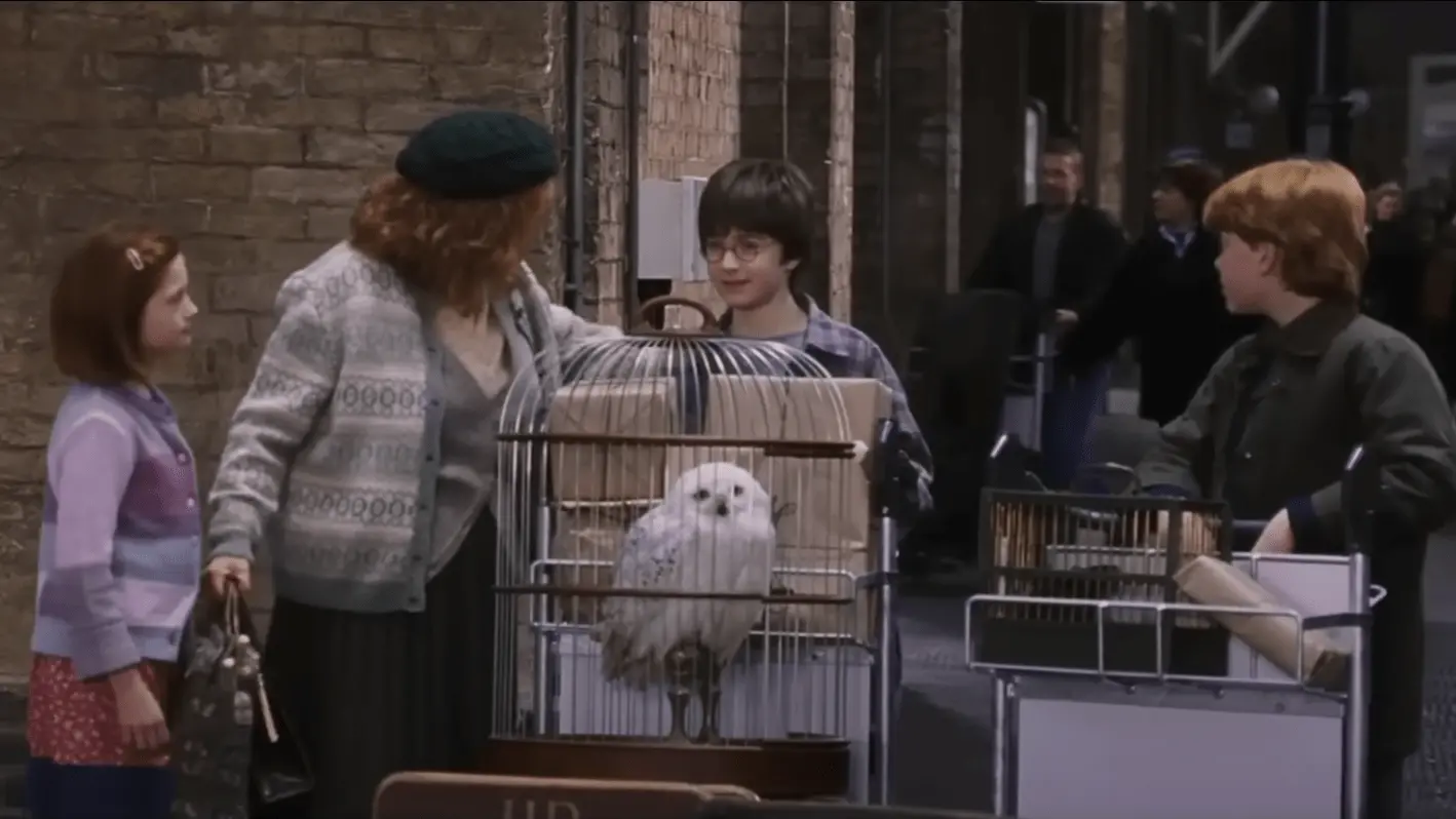 Cena do filme Harry Potter e a Pedra Filosofal