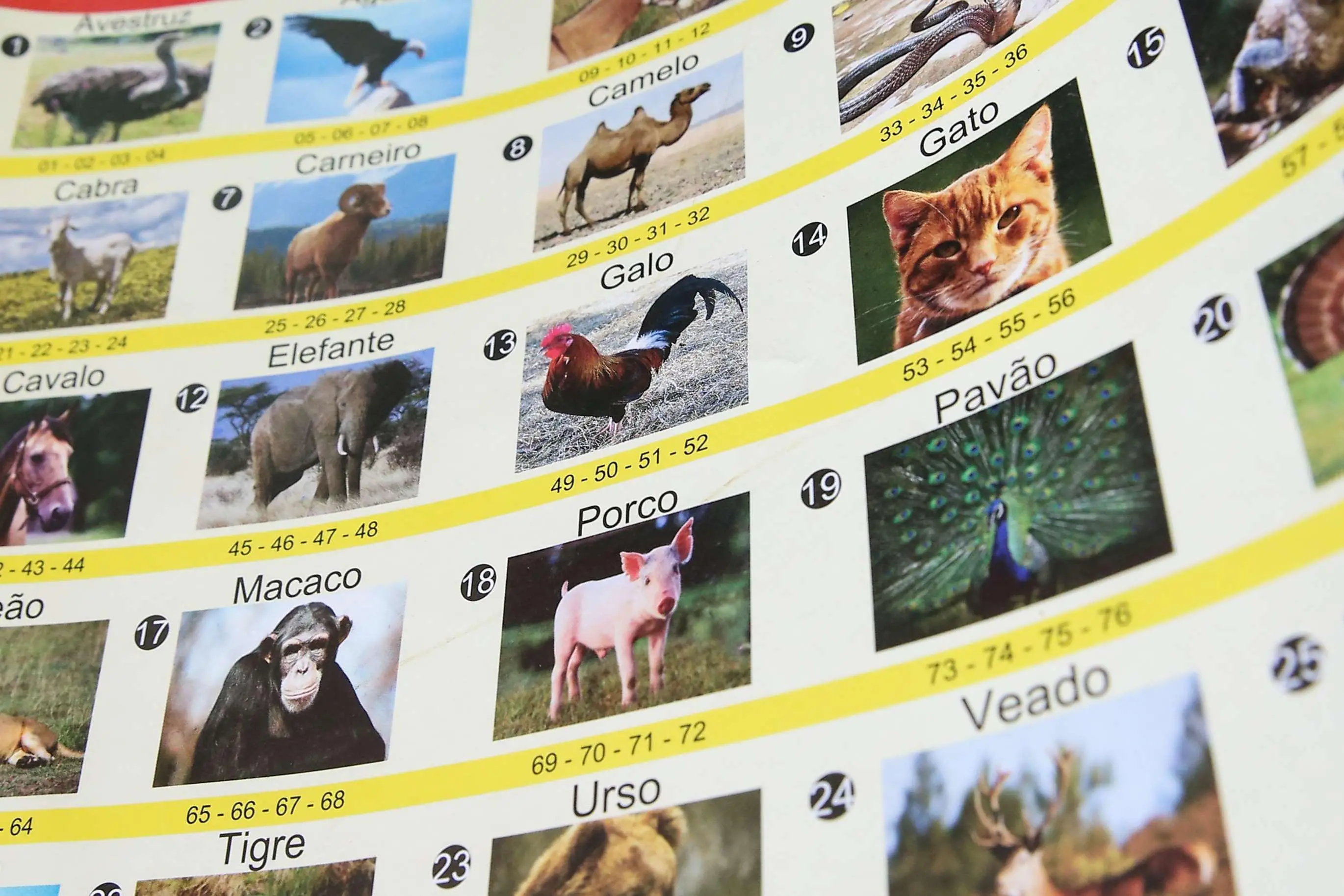 capa da noticia