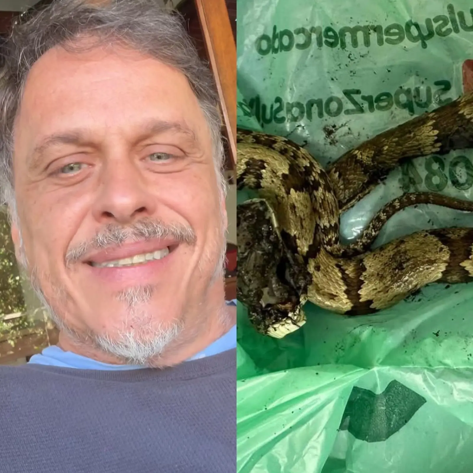 Imagem da notícia Ator Guilherme Fontes é picado por jararaca em casa