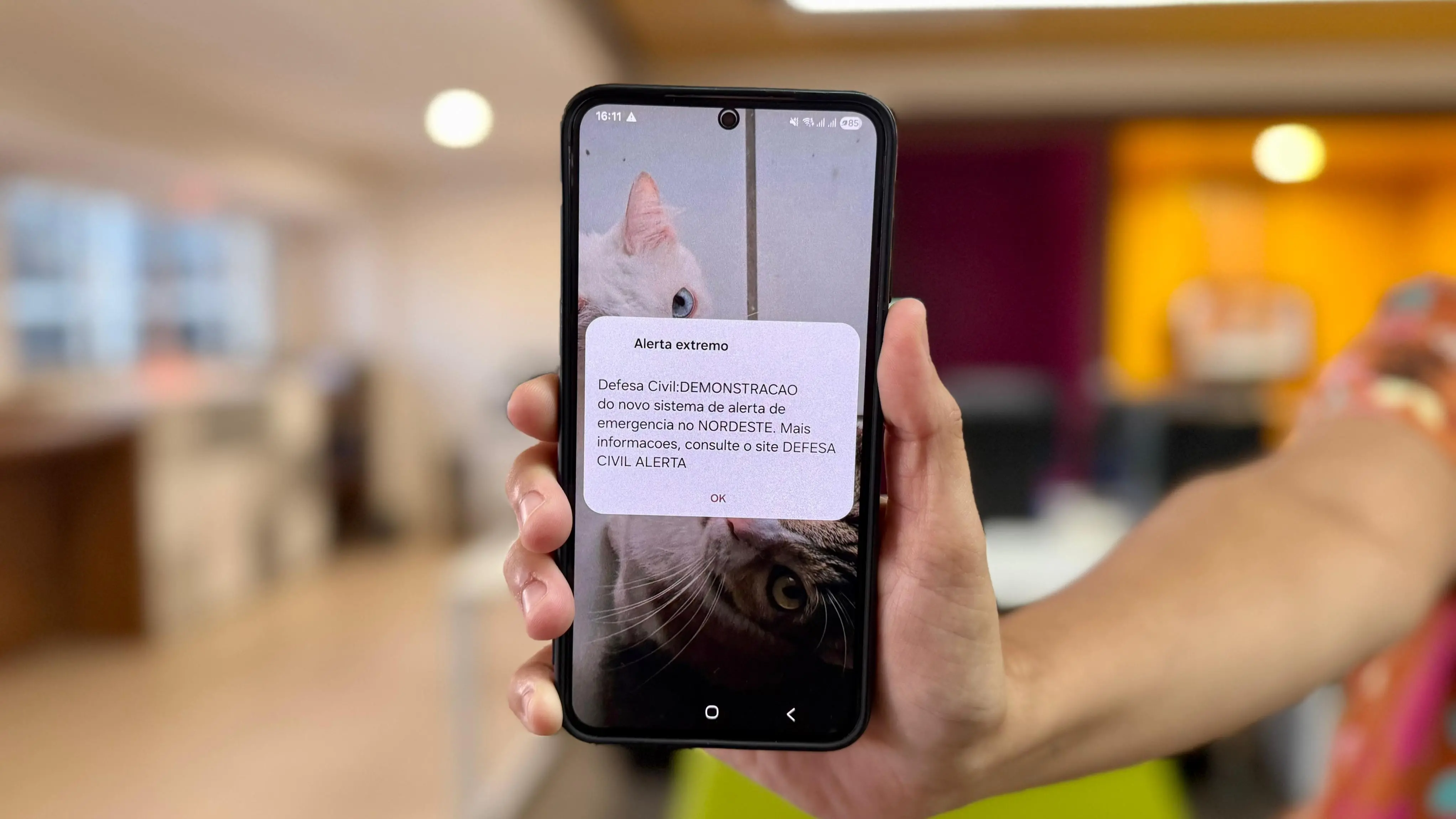 Imagem da notícia: ‘Defesa Civil Alerta’: como funcionará sistema que irá despertar celulares em caso de desastre no CE