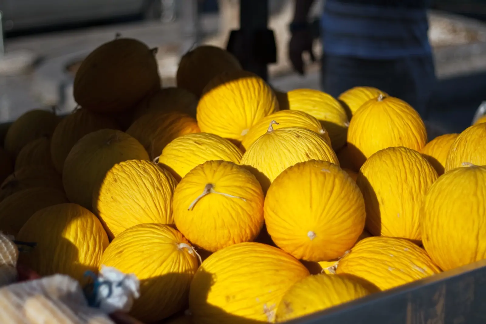 Imagem mostra vários melões expostos. Fruta amarela e redonda