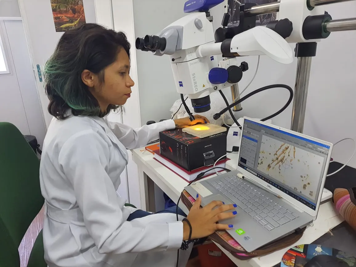 Ednalva durante a pesquisa em laboratório para descrever o neótipo do Calanguban alamoi