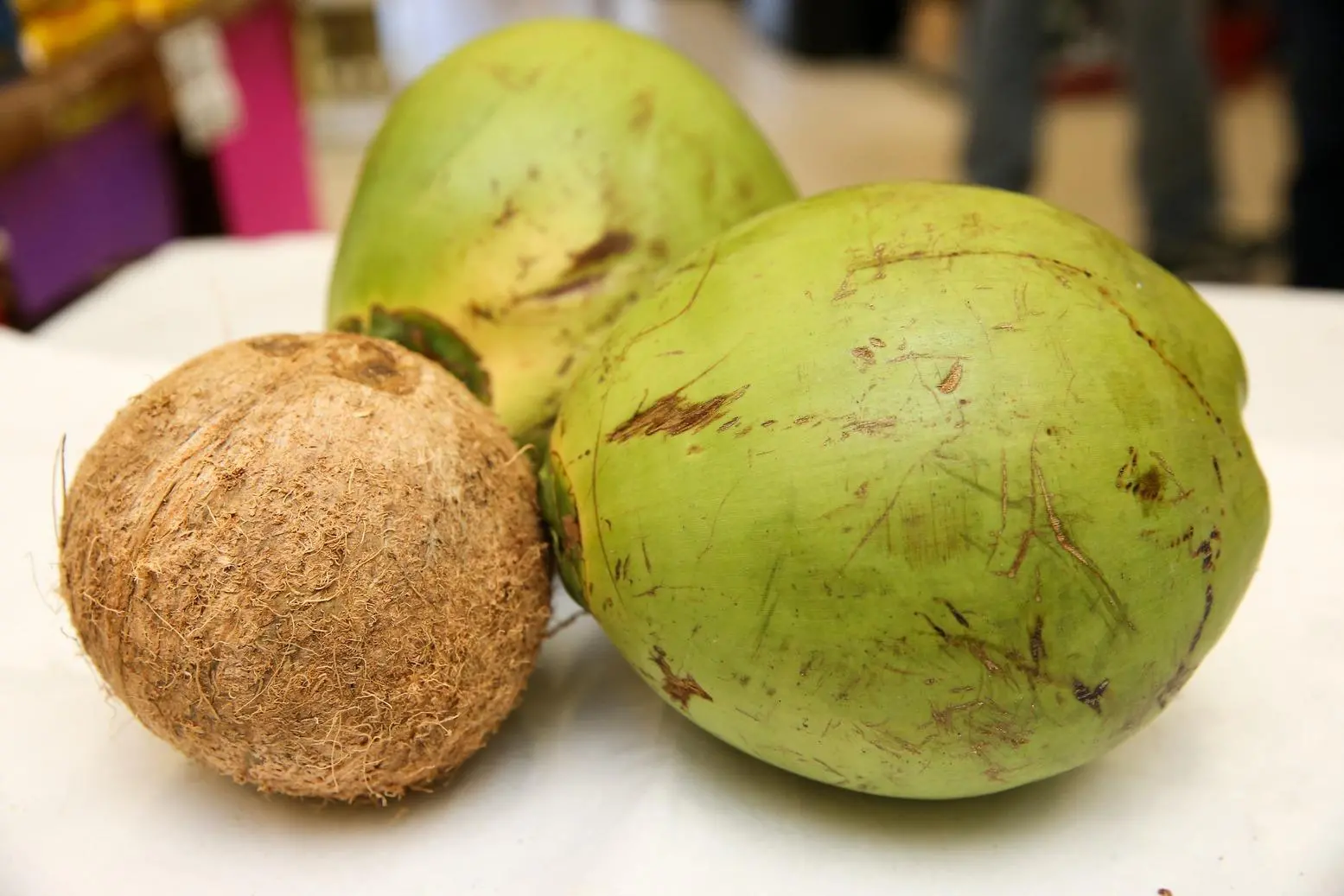 Foto que contém fábrica de coco em Paraipaba, no Ceará