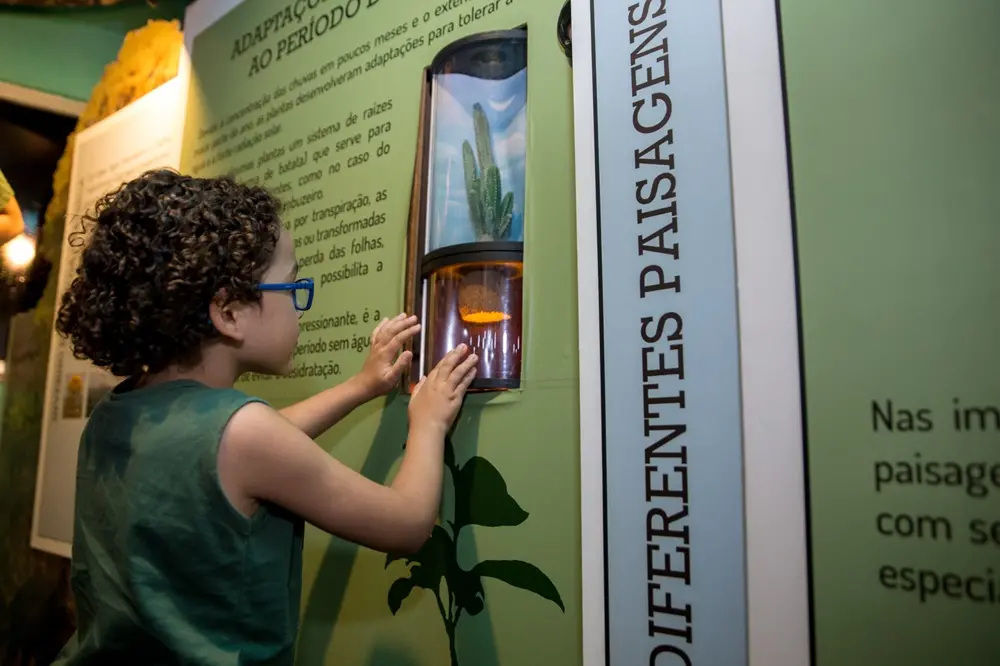 Imagem da notícia: A Caatinga como você nunca viu: exposição gratuita e interativa revela múltiplas surpresas do bioma