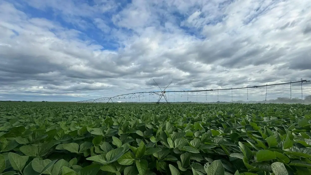 Imagem da notícia: Consumo de biodiesel cresce e desafia agroindústria da soja
