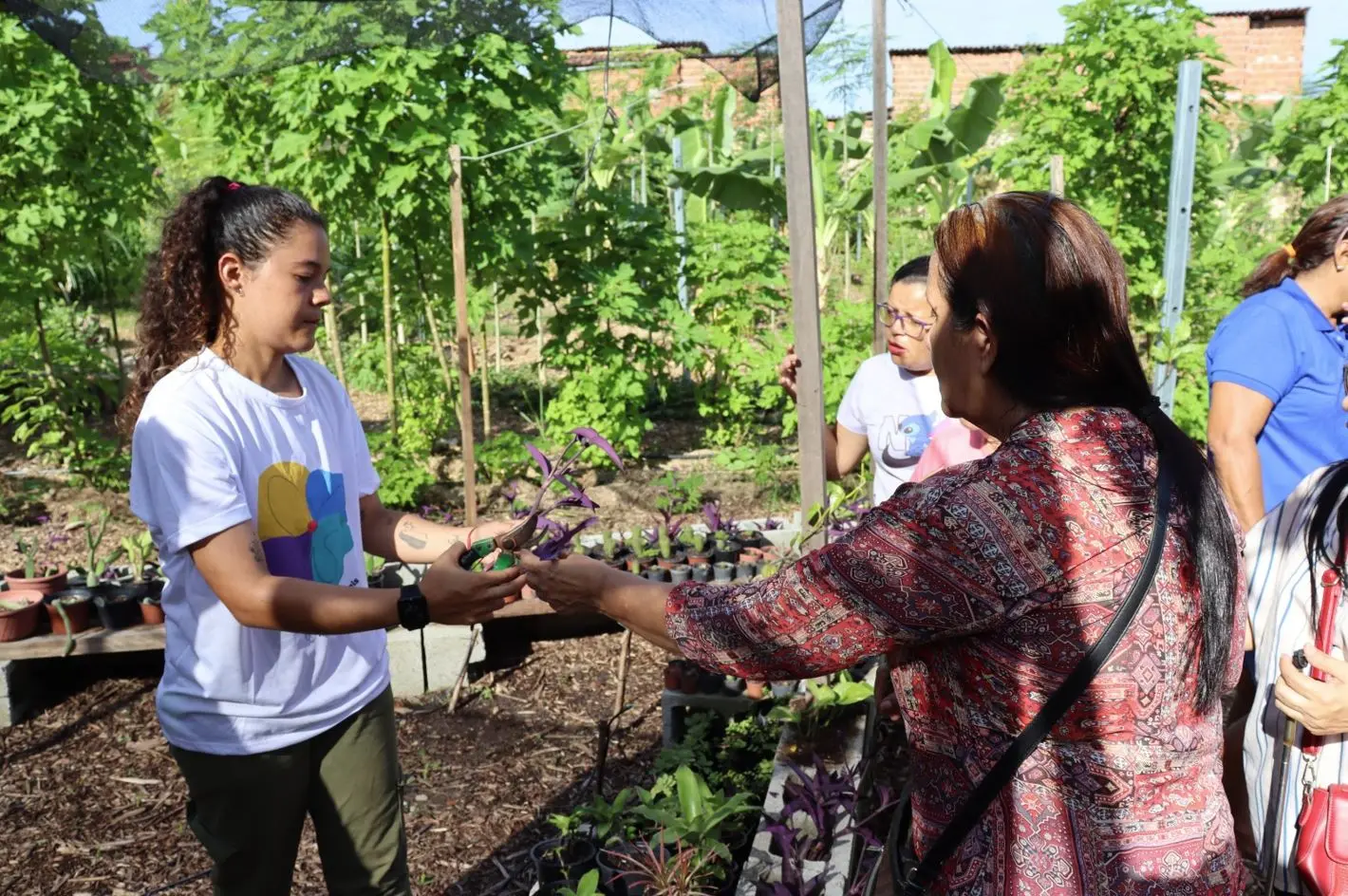 Imagem da notícia Inec oferta oficinas gratuitas de agricultura urbana com foco em empreendedorismo feminino