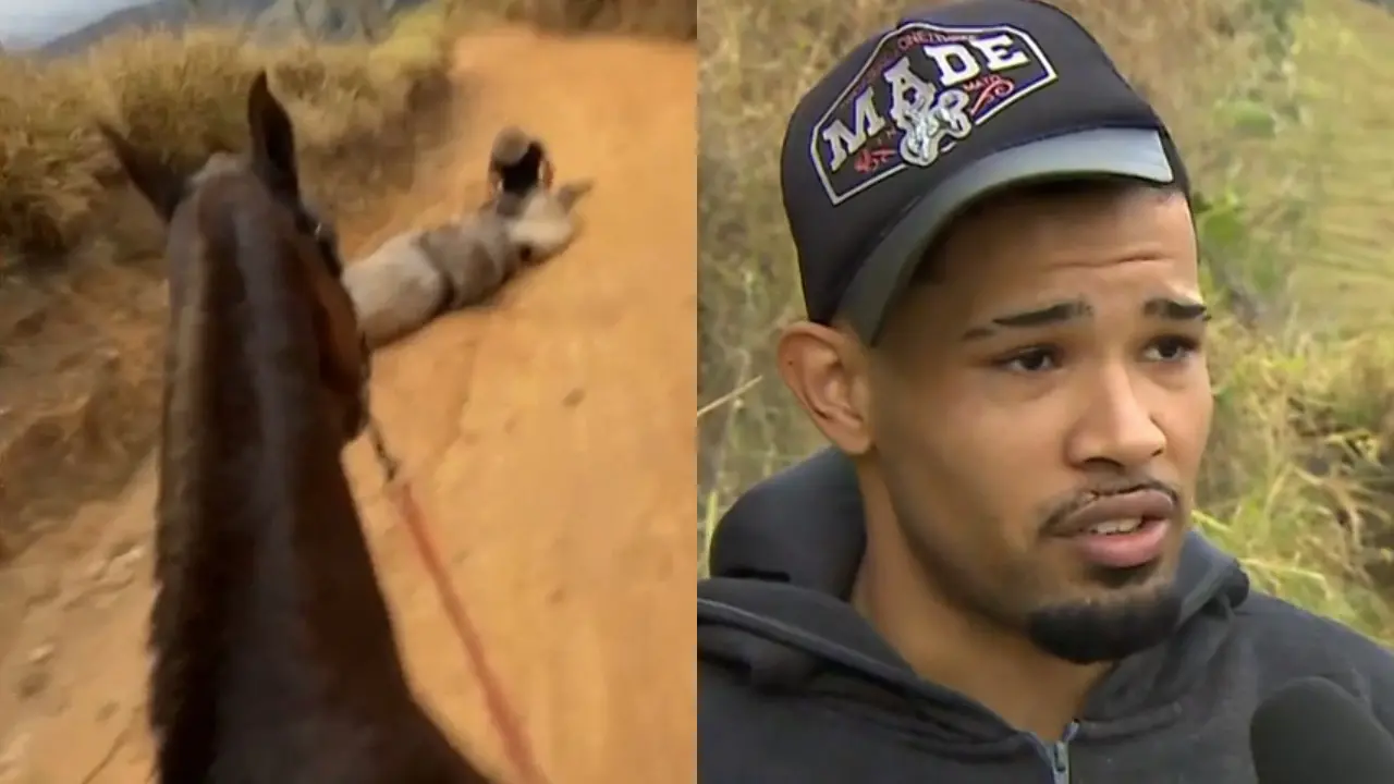 Imagem da notícia: Cavalo mutilado em SP caiu por exaustão após cavalgada de 15 km