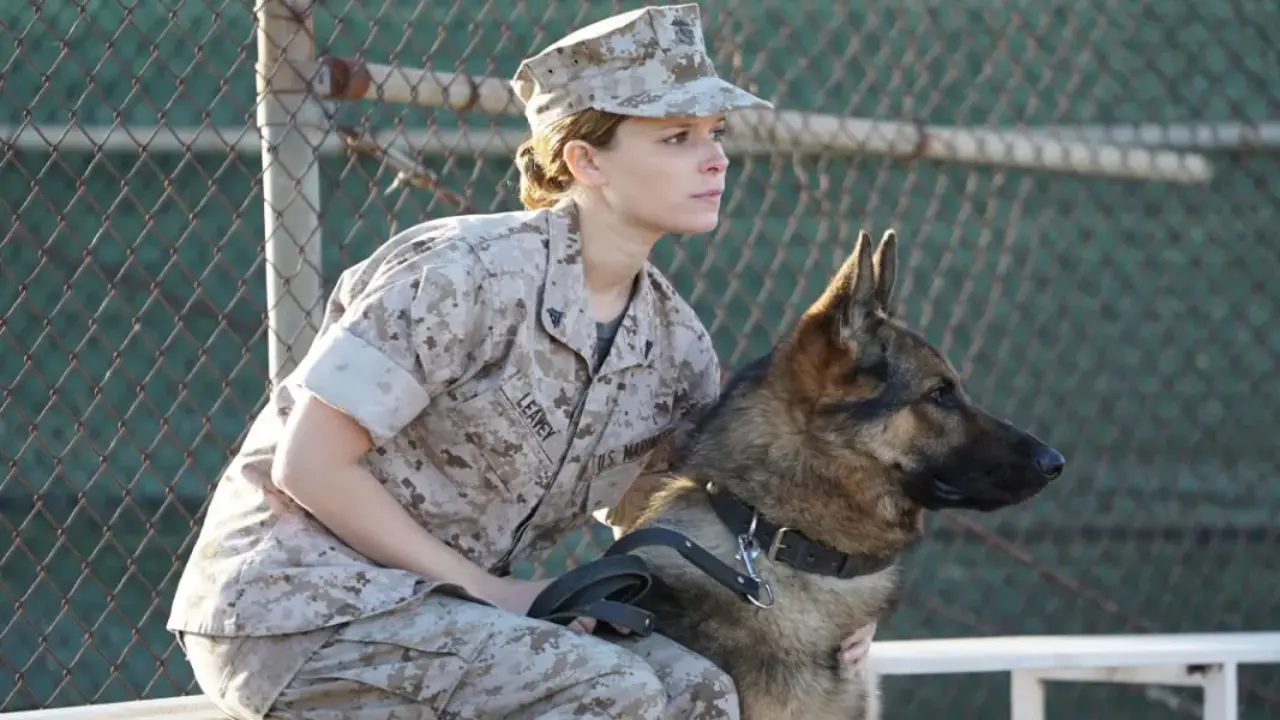 Imagem da notícia TV Globo exibe 'Megan Leavey' na 'Sessão da Tarde' desta quarta-feira (20)