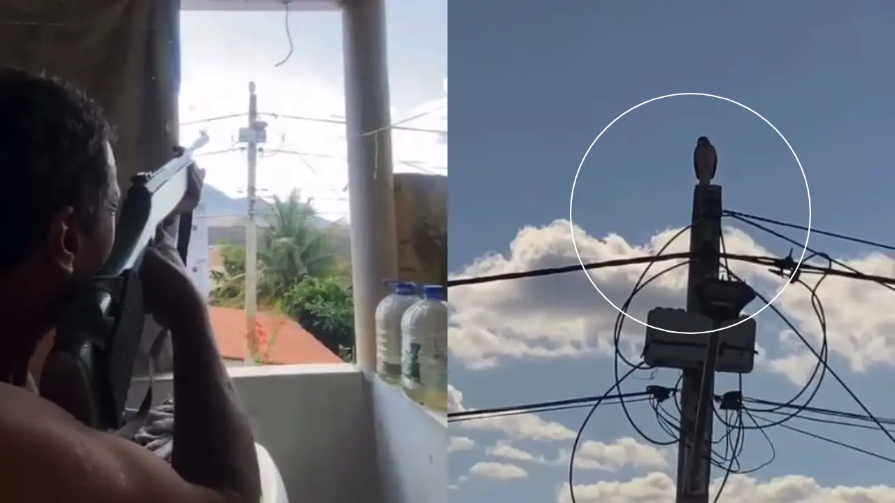 Imagem da notícia: Homem é filmado matando pássaro com arma de pressão, e polícia do Ceará investiga caso