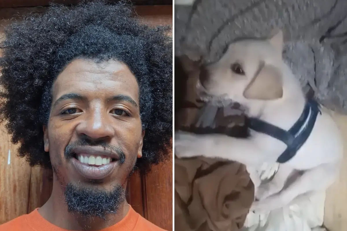 Imagem da notícia: Artista negro é morto a tiros por segurança após tentar entrar com cachorro em supermercado