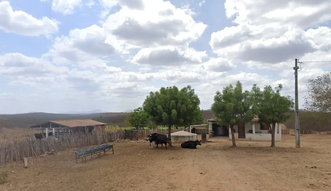 Imagem da notícia: Quixadá perde 85% da produção de milho e feijão e decreta emergência por estiagem