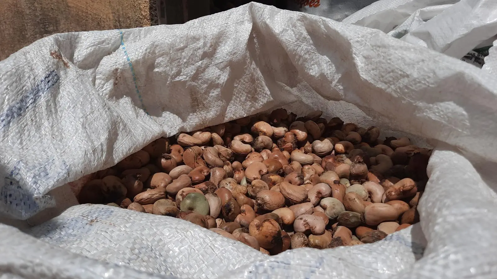 Imagem da notícia: Exportações do agro cearense para os EUA caem em agosto; vendas de castanha despencam 95%