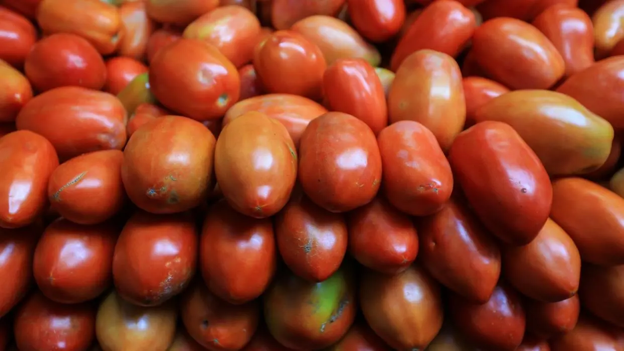 Imagem da notícia Seis das 10 maiores cidades produtoras agrícolas do Ceará ficam na Serra da Ibiapaba