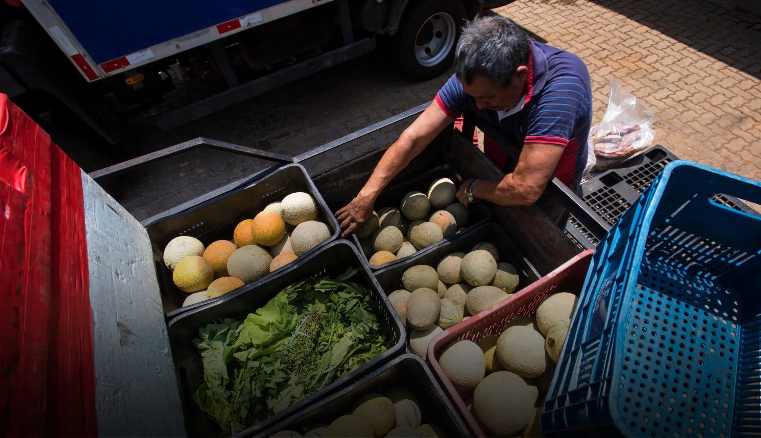 Imagem da notícia: Elo entre sobra e falta: projetos evitam desperdício e distribuem alimentos para combater fome no CE