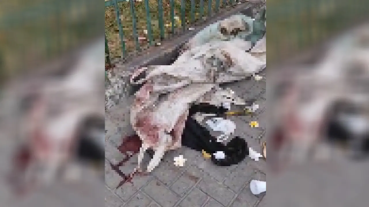 Imagem da notícia: Corpo de homem é encontrado em saco na calçada da Catedral de Fortaleza 