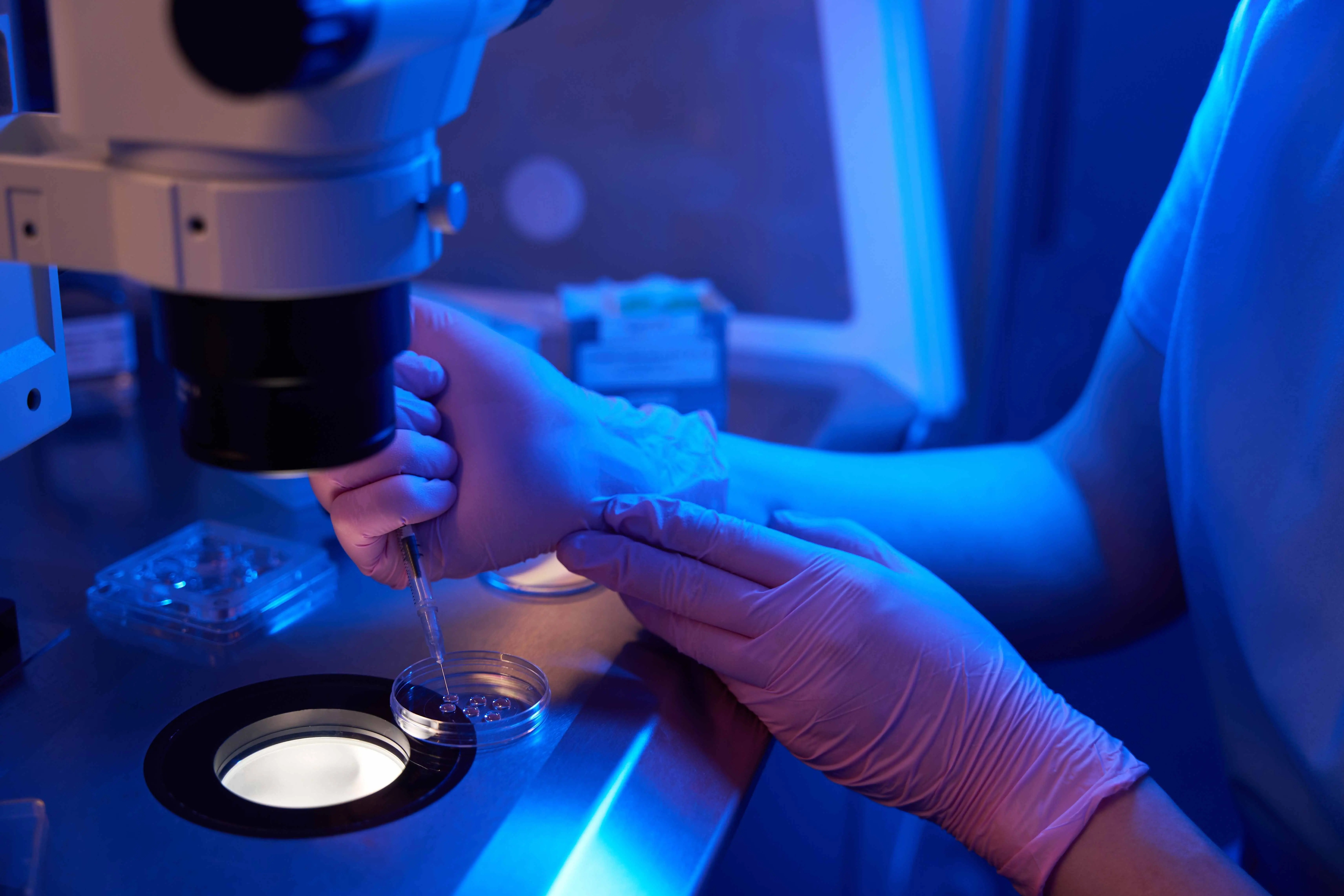 Imagem da notícia: Cientistas transformam células da pele humana em óvulos e fertilizam em laboratório