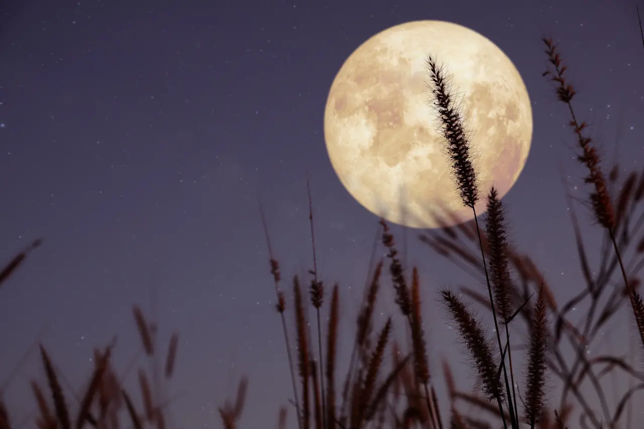Imagem da notícia: Com 'Lua da Colheita' e chuvas de meteoros, veja os eventos astronômicos de outubro