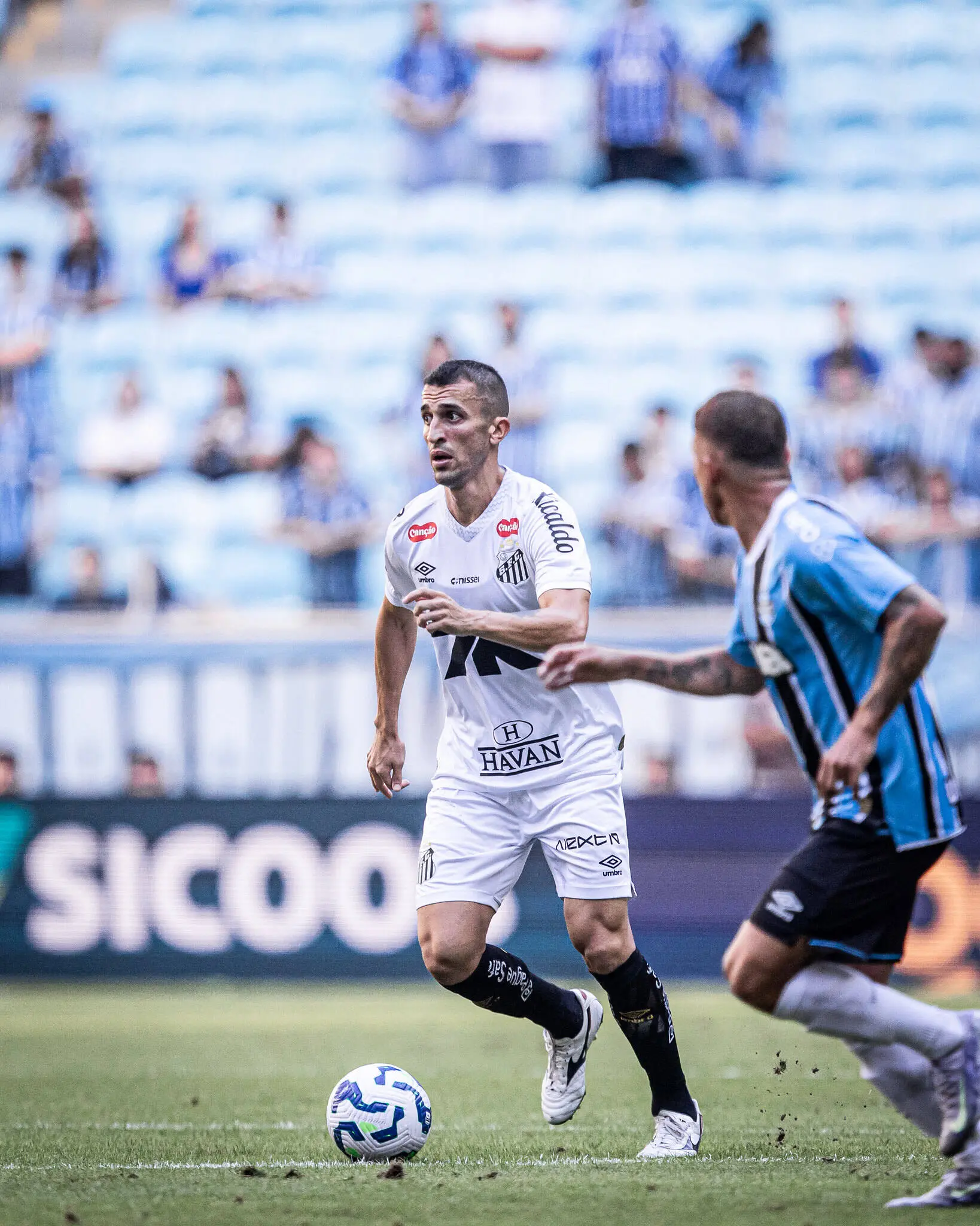 Imagem da notícia Santos x Grêmio pelo Campeonato Brasileiro: veja horário, onde assistir e palpites