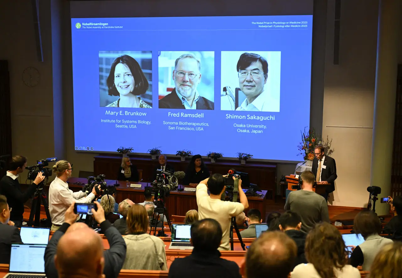 Imagem da notícia Nobel de Medicina premia trio por descobertas no sistema imune