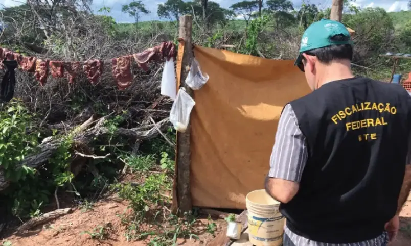 Imagem da notícia: 'Lista Suja' do trabalho análogo à escravidão é atualizada com 16 empregadores do Ceará