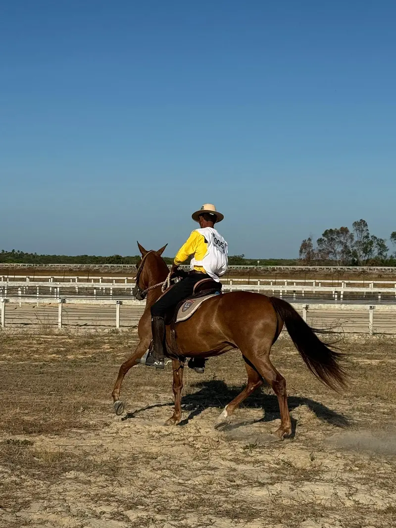 Imagem da notícia Festival do Cavalo reúne atletas em disputas equestres no fim de semana; confira