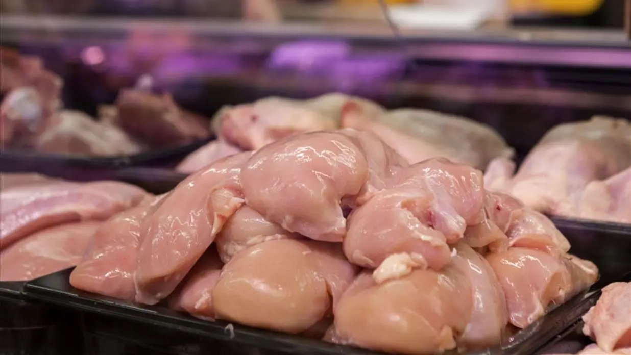 Imagem da notícia: Por que o frango e o ovo ficaram mais baratos em Fortaleza? Veja os motivos