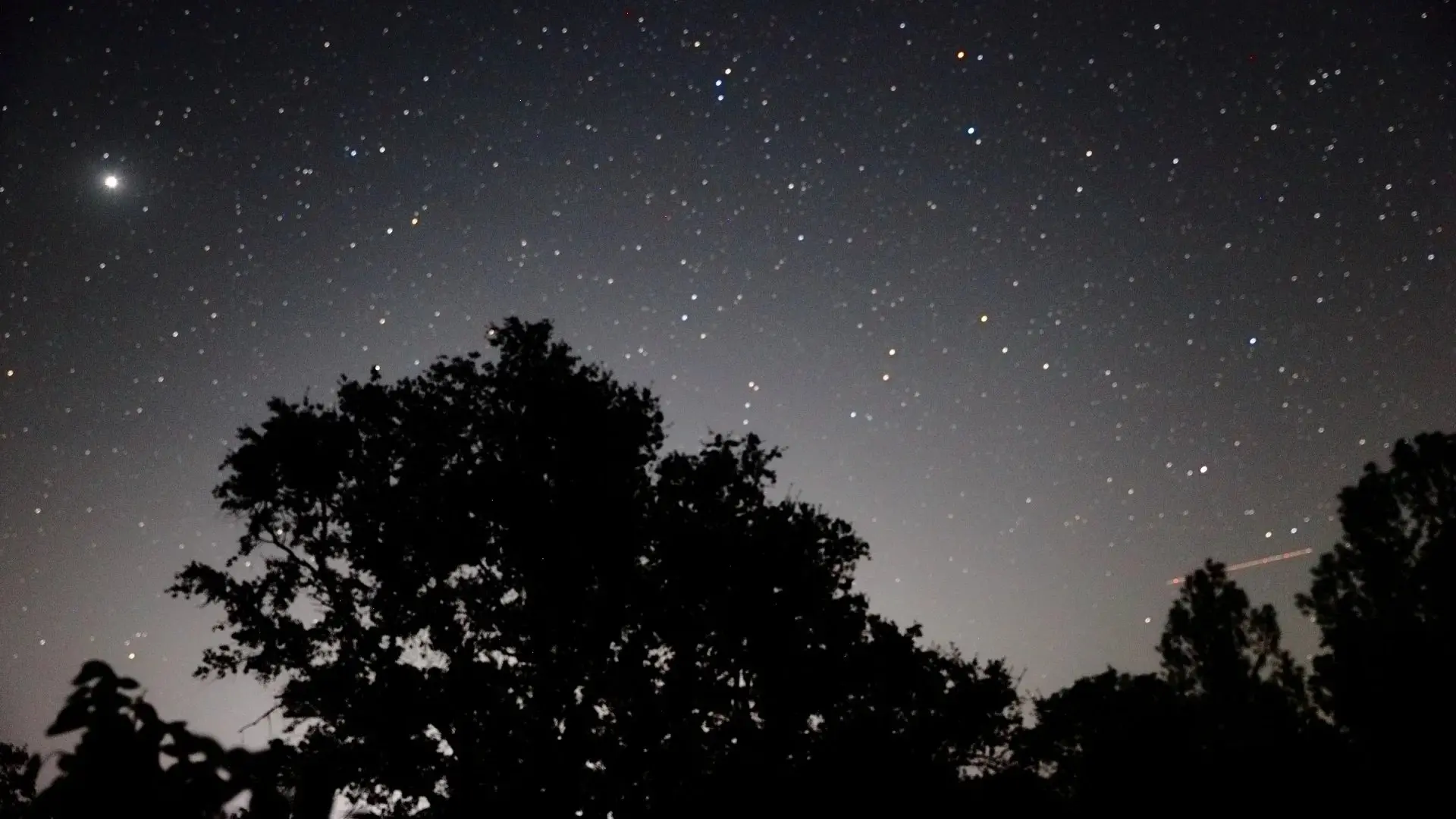 Céu estrelado durante a noite.