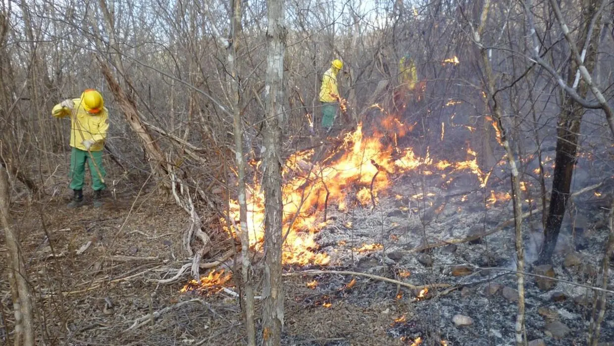 Imagem da notícia: CE registra 12 mil focos de calor em setembro; Aracati lidera ocorrências