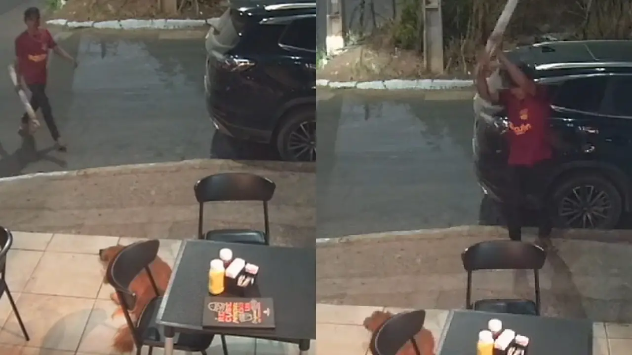 Imagem da notícia Homem é preso por agredir cachorro em Juazeiro do Norte