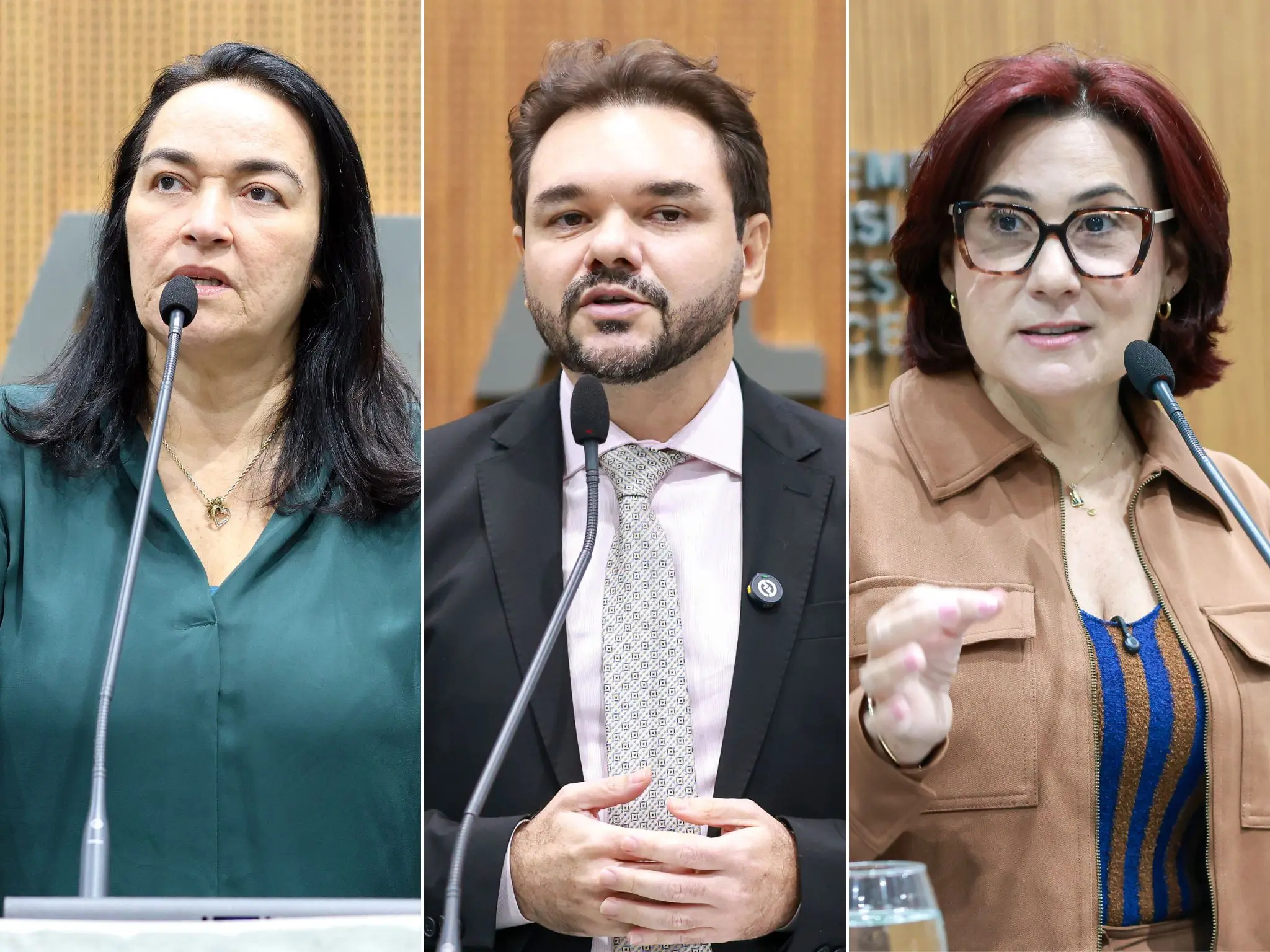 Imagem da notícia: Deputados Dra. Silvana, Alysson Aguiar e Emília Pessoa retornam aos mandatos na Alece após licenças