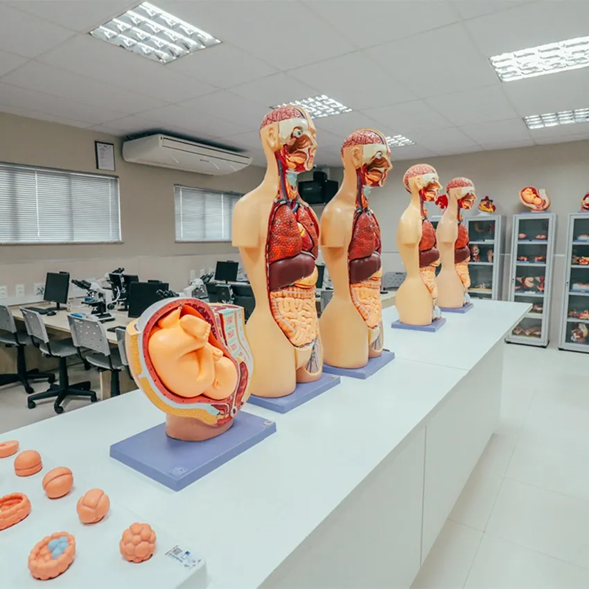 O curso conta com laboratórios totalmente equipados