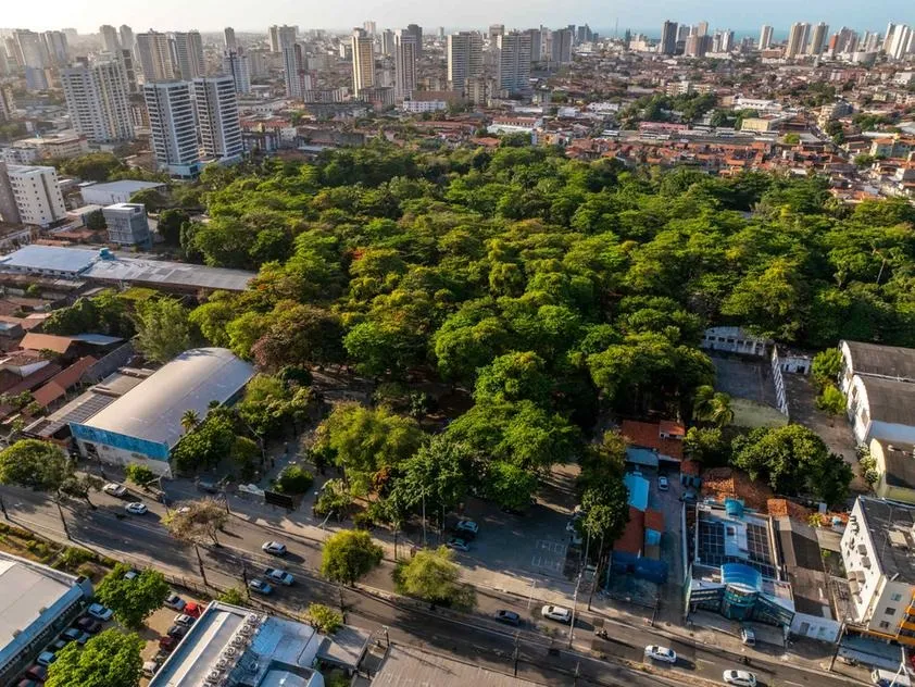 A previsão é de que o Plano Diretor Participativo seja votado na Câmara Municipal até o fim deste ano.