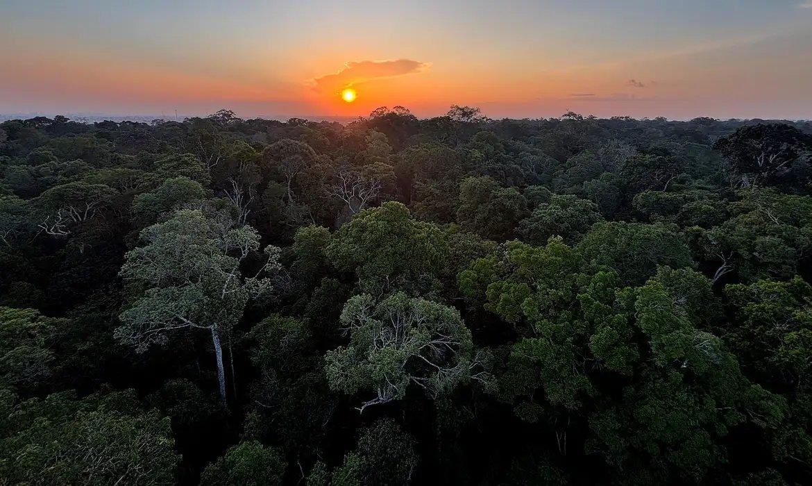Imagem da notícia Como uma taxa sobre super-ricos poderia financiar dívidas climáticas?